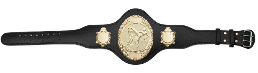KICKBOXING TITLE BELT - PLT286/G/KBOG-4 COLOURS